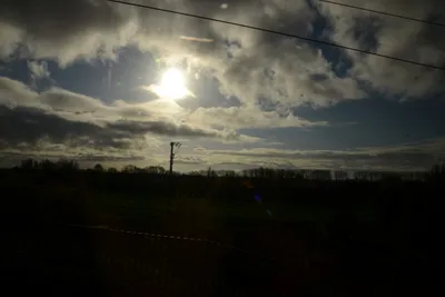 DSC_7171 (Large).JPG